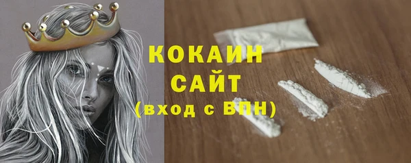 гидра Козловка
