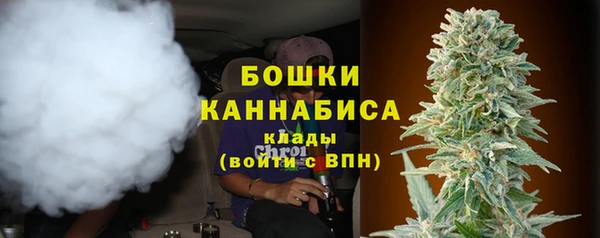 гидра Козловка
