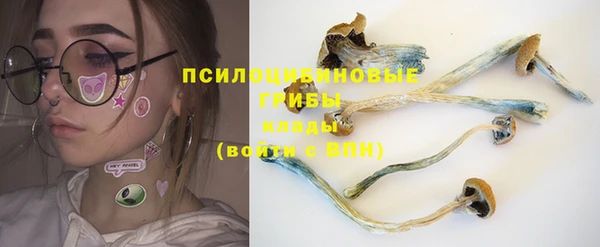 гидра Козловка