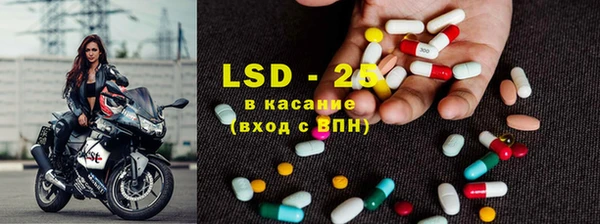 гидра Козловка