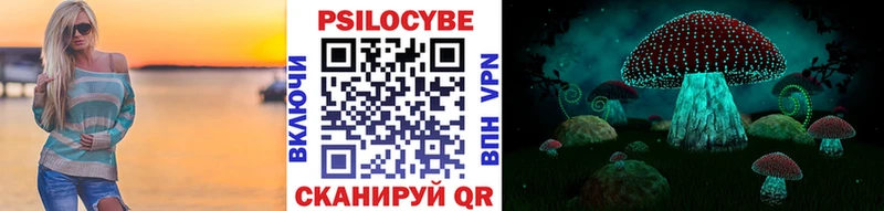 Купить закладки  Билибино  Галлюциногенные грибы MAGIC MUSHROOMS 